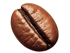 decor coffee beans copyright