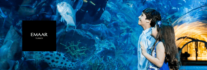 1 670x350 kopya kopyasi e1773316871780