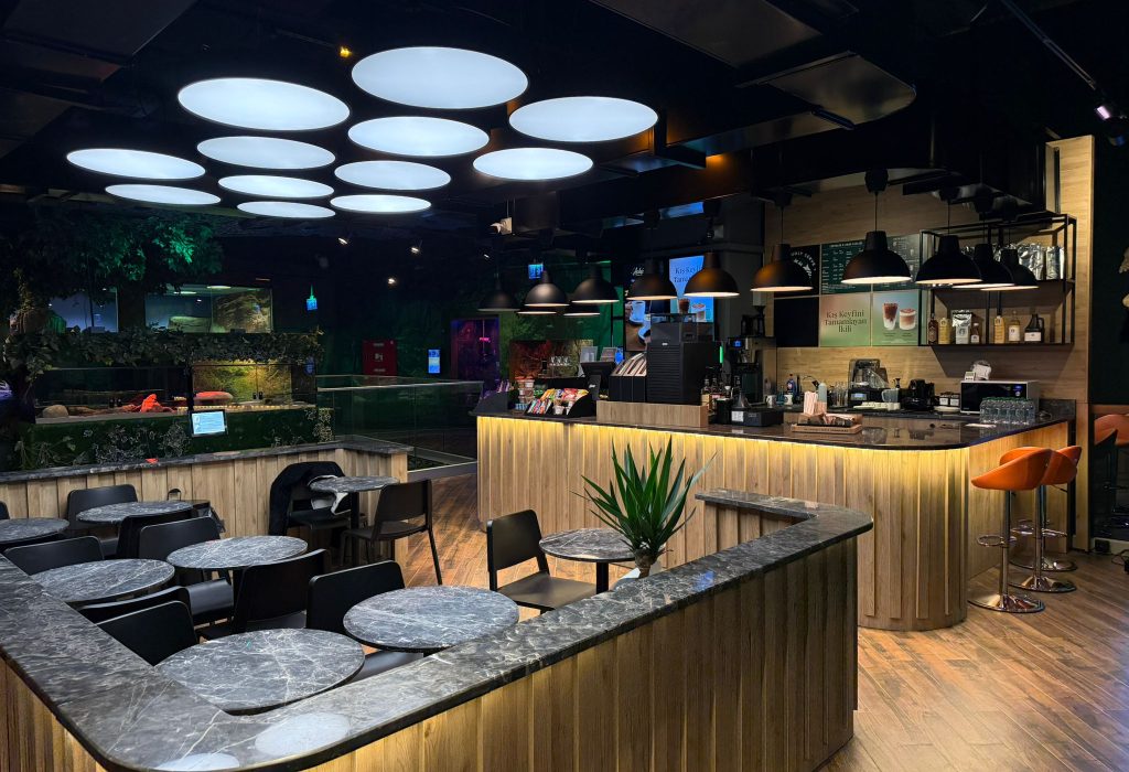 WhatsApp Image 2026-03-11 at 13.27.24 (1)