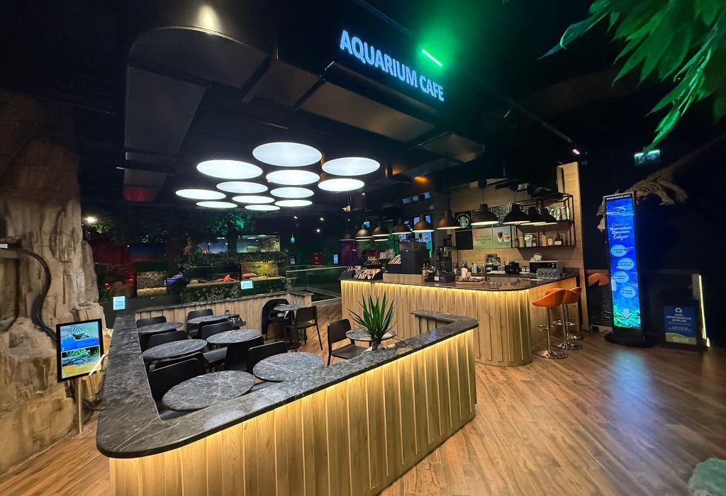 WhatsApp Image 2026-03-11 at 13.27.25